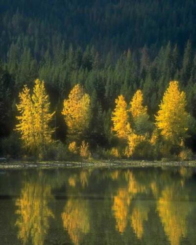 Herbststimmung am See